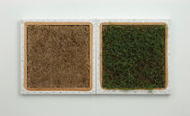 Lawn (Greener on the Other Side) II